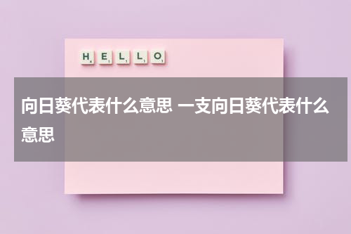 向日葵代表什么意思 一支向日葵代表什么意思