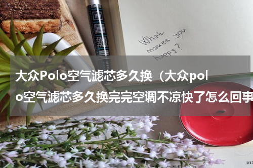 大众Polo空气滤芯多久换（大众polo空气滤芯多久换完完空调不凉快了怎么回事）