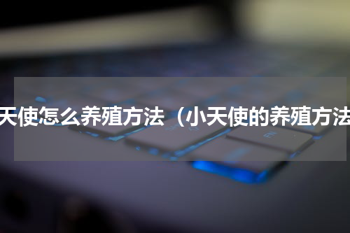 小天使怎么养殖方法（小天使的养殖方法）
