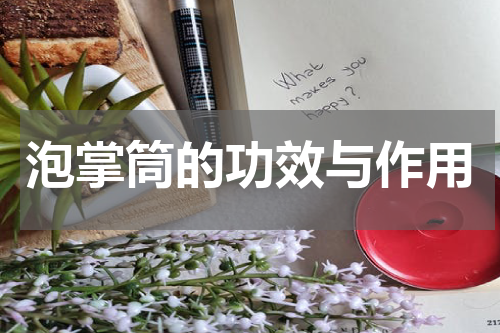 泡掌筒的功效与作用