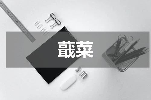 蕺菜