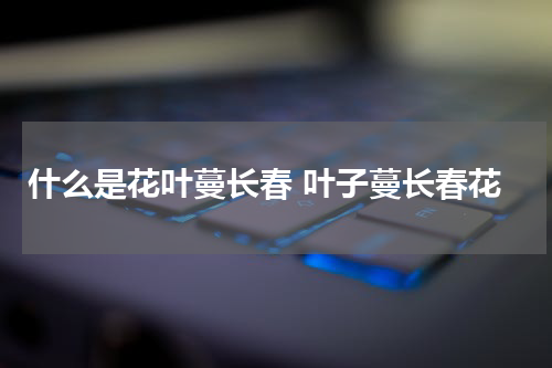 什么是花叶蔓长春 叶子蔓长春花