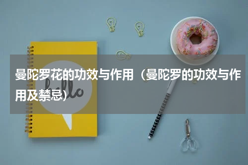 曼陀罗花的功效与作用（曼陀罗的功效与作用及禁忌）