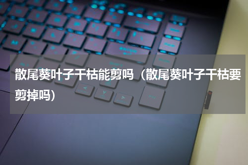 散尾葵叶子干枯能剪吗（散尾葵叶子干枯要剪掉吗）