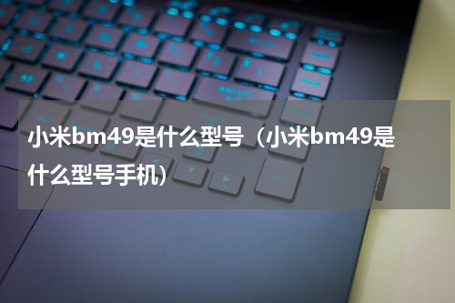小米bm49是什么型号（小米bm49是什么型号手机）