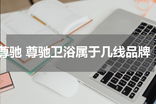 尊驰 尊驰卫浴属于几线品牌