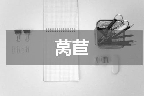 莴苣