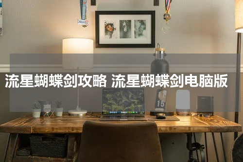 流星蝴蝶剑攻略 流星蝴蝶剑电脑版