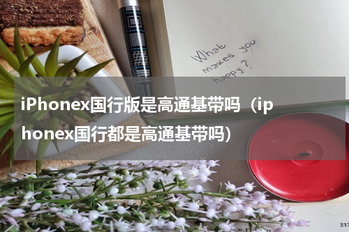 iPhonex国行版是高通基带吗（iphonex国行都是高通基带吗）