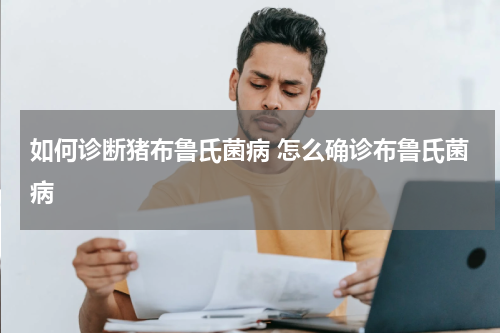 如何诊断猪布鲁氏菌病 怎么确诊布鲁氏菌病