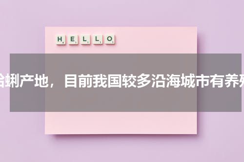 蛤蜊产地，目前我国较多沿海城市有养殖