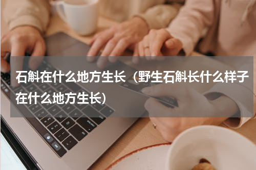 石斛在什么地方生长（野生石斛长什么样子在什么地方生长）