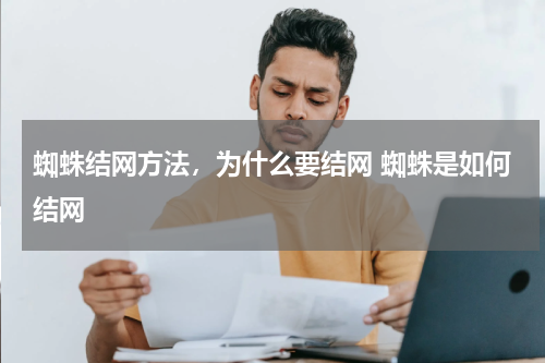 蜘蛛结网方法，为什么要结网 蜘蛛是如何结网
