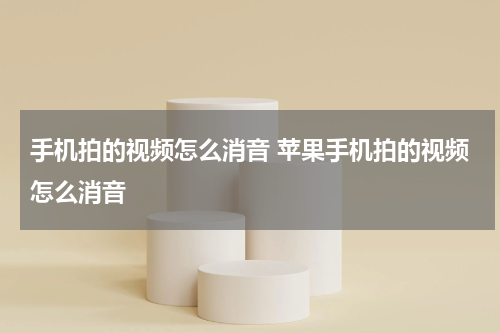 手机拍的视频怎么消音 苹果手机拍的视频怎么消音