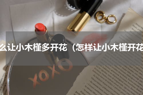 怎么让小木槿多开花（怎样让小木槿开花）