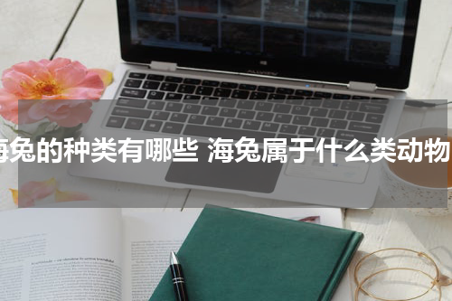 海兔的种类有哪些 海兔属于什么类动物