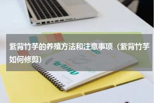 紫背竹芋的养殖方法和注意事项（紫背竹芋如何修剪）
