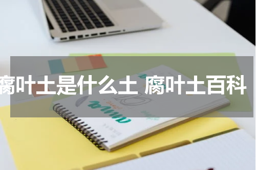 腐叶土是什么土 腐叶土百科