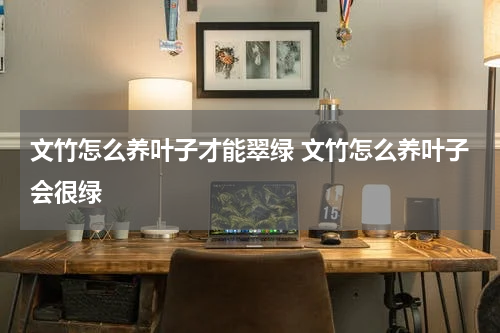 文竹怎么养叶子才能翠绿 文竹怎么养叶子会很绿