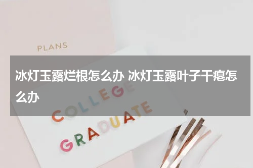 冰灯玉露烂根怎么办 冰灯玉露叶子干瘪怎么办