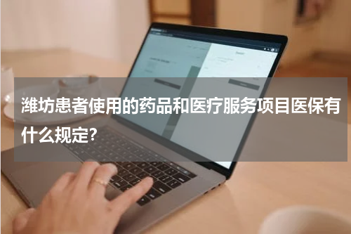 潍坊患者使用的药品和医疗服务项目医保有什么规定？