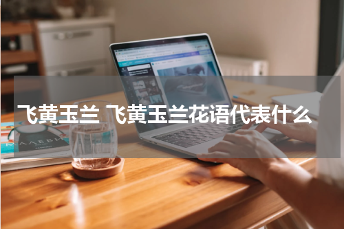 飞黄玉兰 飞黄玉兰花语代表什么
