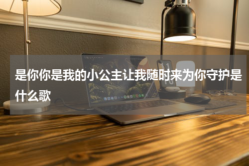是你你是我的小公主让我随时来为你守护是什么歌