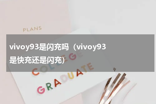 vivoy93是闪充吗（vivoy93是快充还是闪充）