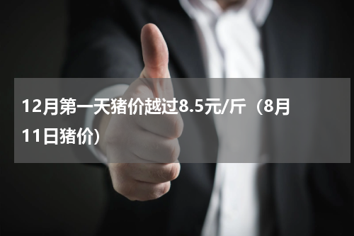 12月第一天猪价越过8.5元/斤（8月11日猪价）
