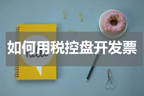 如何用税控盘开发票