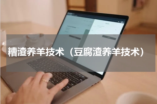 糟渣养羊技术（豆腐渣养羊技术）