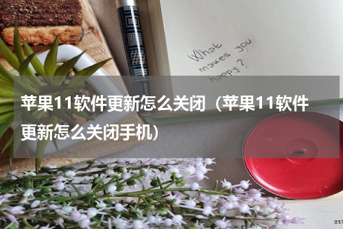 苹果11软件更新怎么关闭（苹果11软件更新怎么关闭手机）