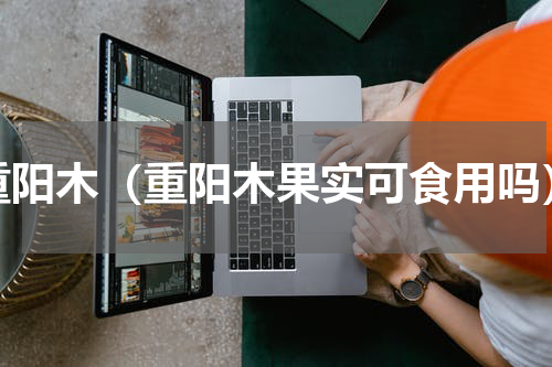 重阳木（重阳木果实可食用吗）