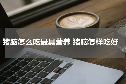 猪脑怎么吃最具营养 猪脑怎样吃好