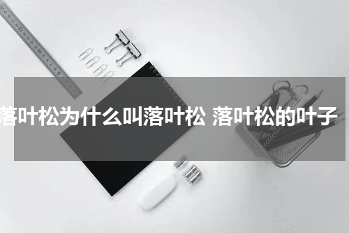 落叶松为什么叫落叶松 落叶松的叶子