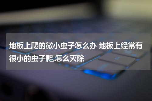 地板上爬的微小虫子怎么办 地板上经常有很小的虫子爬,怎么灭除