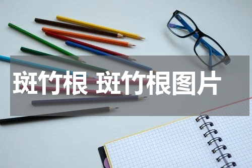 斑竹根 斑竹根图片