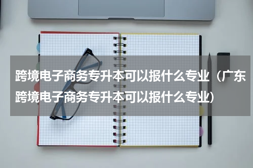 跨境电子商务专升本可以报什么专业（广东跨境电子商务专升本可以报什么专业）
