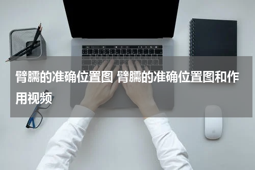 臂臑的准确位置图 臂臑的准确位置图和作用视频
