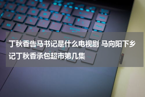 丁秋香告马书记是什么电视剧 马向阳下乡记丁秋香承包超市第几集