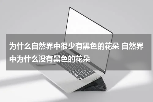 为什么自然界中很少有黑色的花朵 自然界中为什么没有黑色的花朵
