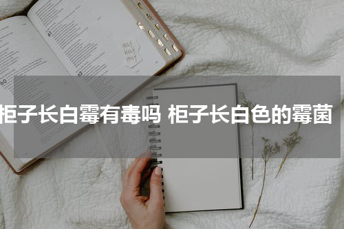 柜子长白霉有毒吗 柜子长白色的霉菌