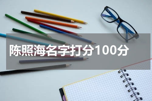 陈照海名字打分100分