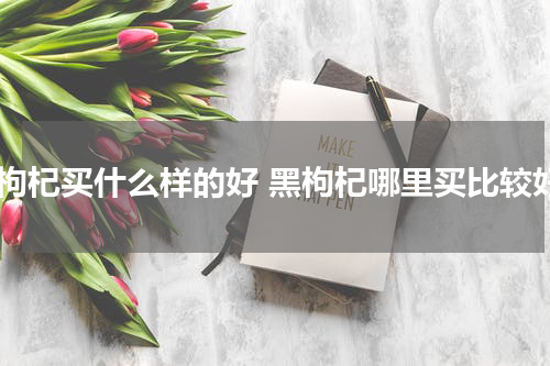 黑枸杞买什么样的好 黑枸杞哪里买比较好