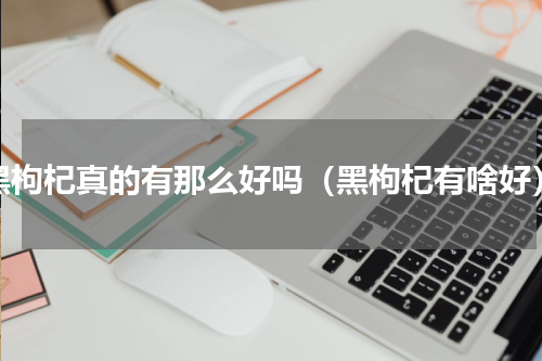黑枸杞真的有那么好吗（黑枸杞有啥好）