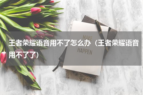 王者荣耀语音用不了怎么办（王者荣耀语音用不了了）