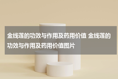 金线莲的功效与作用及药用价值 金线莲的功效与作用及药用价值图片