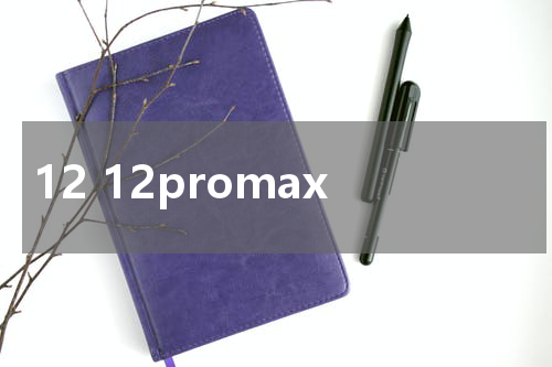 12 12promax