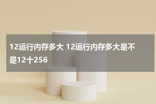 12运行内存多大 12运行内存多大是不是12十256