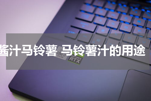 酱汁马铃薯 马铃薯汁的用途